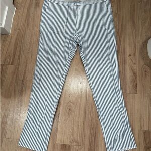 Men's Striped Blue and White Pants